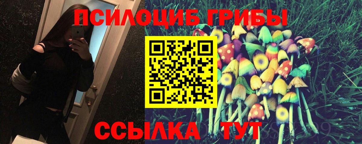 Псилоцибиновые грибы прущие грибы Боровичи