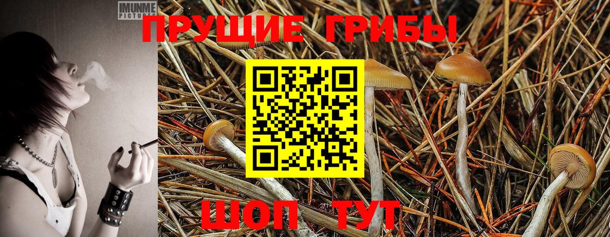 Псилоцибиновые грибы Magic Shrooms  Вход с VPN  Псилоцибиновые грибы MAGIC MUSHROOMS  Боровичи 