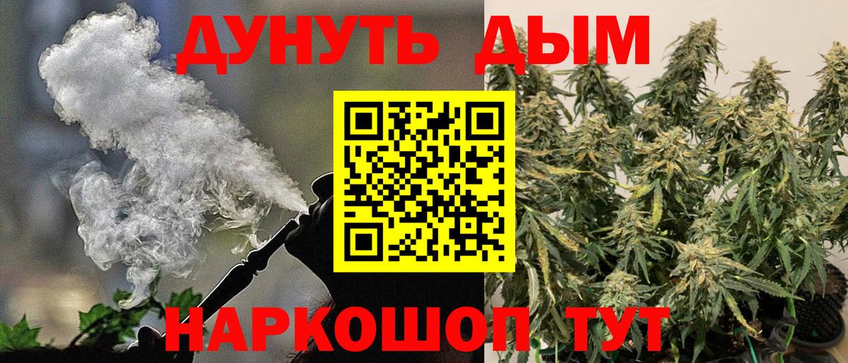 Бошки Шишки план Боровичи